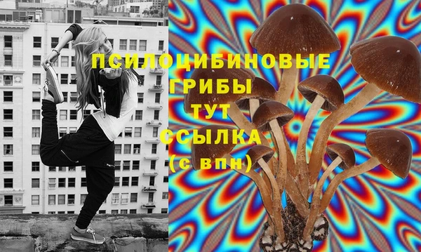 Альфа ПВП Богданович